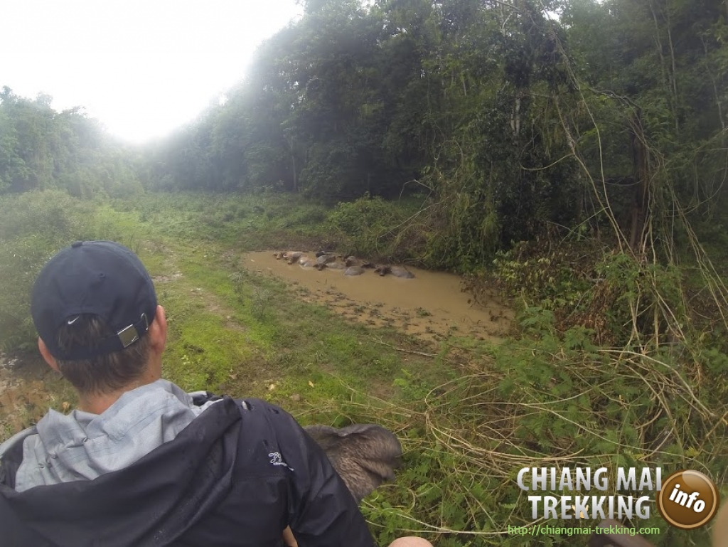 3-days/2-nights Trekking Tour | Chiang Mai Trekking | Le meilleur trekking &agrave; Chiang Mai avec Piroon Nantaya